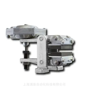 Ringspann DV 030 FPM-050L-12 �ƶ���