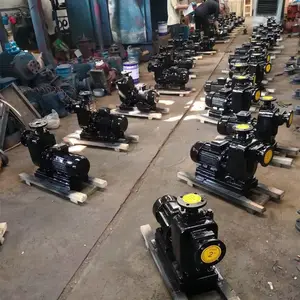 Դͷ����ZW����������ʽ�綯�޶������۱�ZW150-180-20��ˮ������