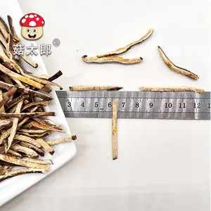 ��̫�� 3mm��ˮ�㹽˿ ���� ���ڶ��� �㹽˿ SC��֤ �����̼�