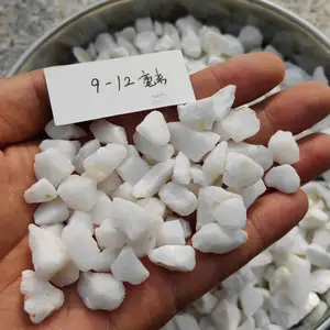 园艺多肉装饰白石子 阳台广场摆放雪白色碎石 水磨石白色地坪砾石