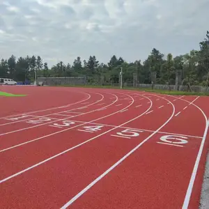 湖南蒸湘塑胶跑道施工 篮球场材料施工 人造草坪施工
