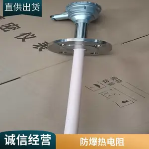 斯美特烧结 热电偶 WRR-130 铂铑电热偶 刚玉陶瓷管热电阻