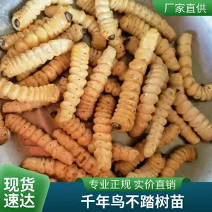 ����ʵ�� �����׳� ʵ�������ֳ���ѧ