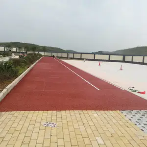 У԰�˶����ܽ��ܵ� רҵʩ��һ�廯���� �ͺ����������仧�ⳡ��