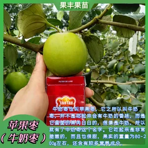 ̨��ţ���������������� �۸����