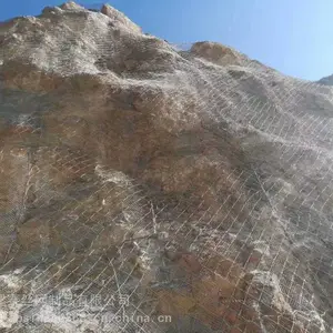 ���ܱ��·����� ���������� ����������ʵ�峧��