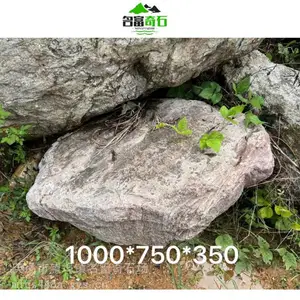 浙江杭州大型景观石泰山石造景 杭州泰山石园林庭院假山石厂家批发
