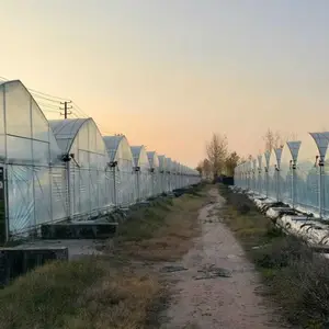 浙江义乌农业大棚管钢架 连体大棚坚固度高 蔬菜种植外遮阳连栋大棚经济实惠薄膜大棚配件全套批发