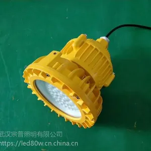 化工装置塔用LED防爆灯BLD220,油田用隔爆型LED防爆灯BLD220