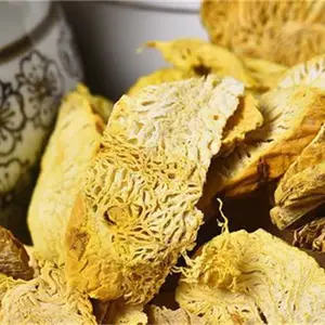 �ٷ������˳ǽ�����ڲα�������ֲ�����������ѧϰ