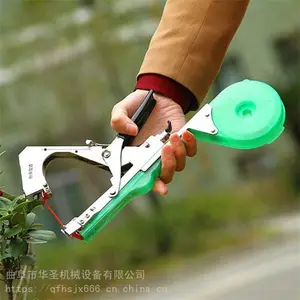 ��������Ҽ�����֦�� �������� �ƹ϶��ǰ�����
