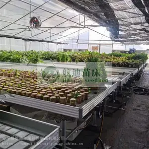 ���ϳ�ϫ�紲���� ��ϫ�紲�Ĺ�����; ʹ�����