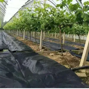 ���ݲ�����԰�յز�����ݲ���