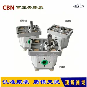 CBN-E325BFPR 齿轮泵 啸力 成型喷雾设备齿轮泵