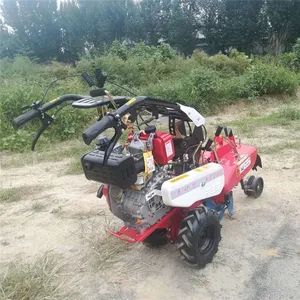 ���ݴ�д󽪿��������� �๦���ַ���԰������ ���� Ʒ�ʱ���