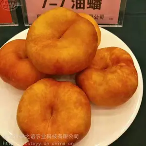 ��������ء�˧ʦ�������硢�´��е������ֻ�