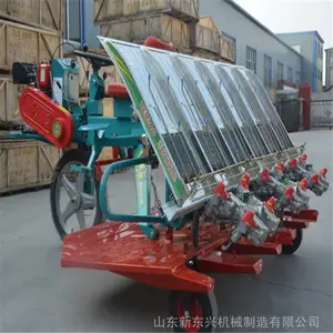 ũ��������岥�� �ߵ�������ʽˮ�������� ˮ��������ֲ��