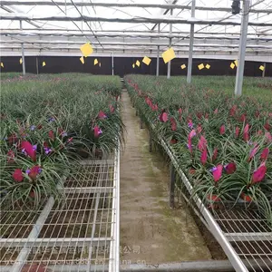 �ػ� �ȶ�п�ƶ��紲 �紲�� ���� ��װ
