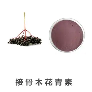 ���׻�����25% ֲ����ȡ�� ˹ŵ�ذ��� �ɷ���Ʒ �Ϻ�ɫ��ĩ