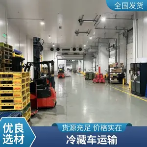 广州冷链运输服务 珠三角区域生鲜配送 定时达 温度可控