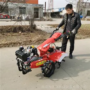 �¿�����ع�԰������ ����������ʽ΢���� �ַ��е