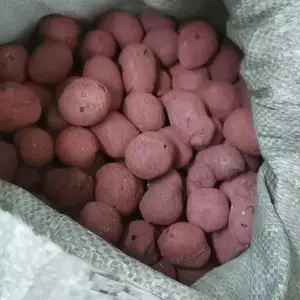 �㶫��ݸ�������� ������������� ��ǿ������ ԰������