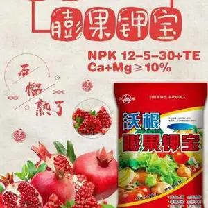 果树冲施肥钾宝壮根冲施肥