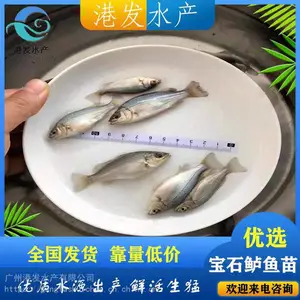 �����żҽ緢�� �ѵ����� ��ʯ������ ��ʯ������