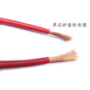 ���ɴ�RV��о����0.2-0.75mm2��ͭ�����Դ��