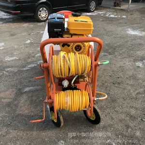 �����԰����������� ����ʽ�߲�԰�ִ�ҩ�� ��̩