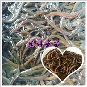 �����е�ˮ������������ ����ʽ������ֳ���ػ����� ����ˮ����Ӧ