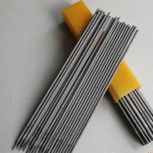 Ni307A��������