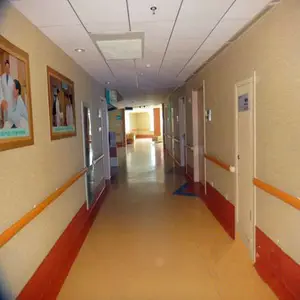 LS-695����ҽԺ����Ժ���ȷ��� ҽԺ���ȿ�ǽ���� ��ײ����
