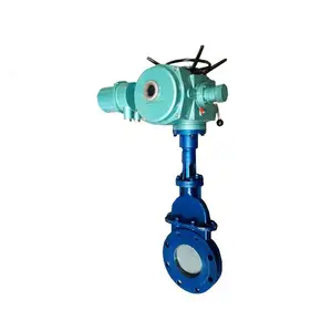 Z941T-10Q DN80ˮ����բ���綯բ����ھ�բ����ī�������ʷ���