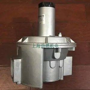RG040-1B|RG040-2B ԭװ���������GECAȼ����ѹ�� ��ѹ�� ��ѹ��