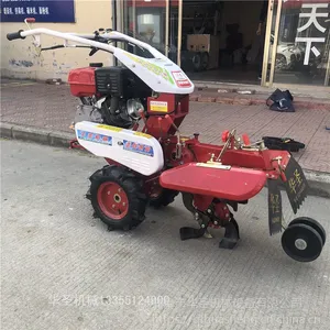�����ݮ��ֲ������¢�� �����԰С�ؿ�ɰ�װ��������������
