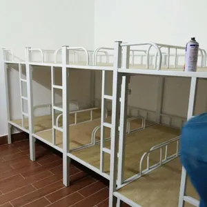 ��ݸ��������������ͯ�������� �׶�԰����Сѧ������