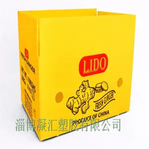 �пհ� pp��ͨ�� ��������� ������ Χ���Ƭ���� ȫ���� ��ɫ 600*800mm 5mm