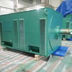 ����������Y5004-10/315KW/10KV��ѹ��ˢֱ�����ԭ��***