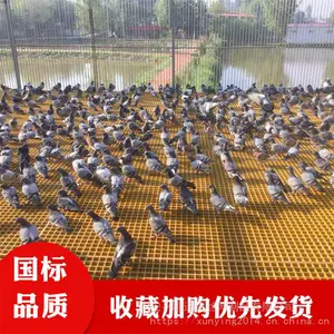 Ѹӥ ������ˮ���Ӹǰ� ��ˮ����դ�ǰ� ���ϵع��ǰ�