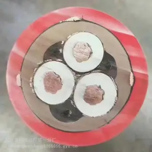 ����MHJYV ������ȼ������ ����***��