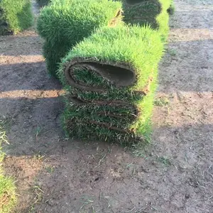 湖南郴州缘暿苗木种植专业合作社