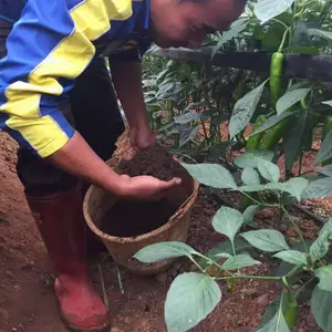 云南昆明有机肥厂家直销玉溪千益有机肥生物菌发酵有机肥猪粪鸡粪腐殖酸
