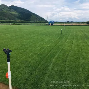 �������� ��ƺ���ع�Ӧ�ͺ��ͼ�̤�伾�Ͳ�ƺ ��Ƥ***��