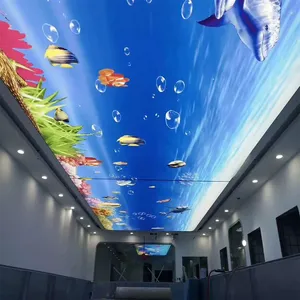 �ͲĿ������� ����˫��LED���� ͸��Ĥ ��Ĥ�컨 �ɶ��Ƽӹ�
