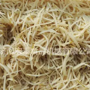 大型全304不锈钢变频式榨菜切丝机 腌制芥菜切丝机 切榨菜丁机