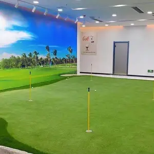 环屏 高尔夫模拟器 专业厂家 青少年高尔夫 电子竞技