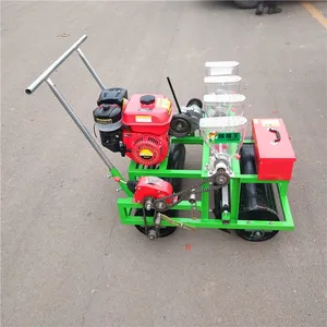 �๦��С�����Ͷ����߲˾����� ��˲��ֻ� �ַ��е