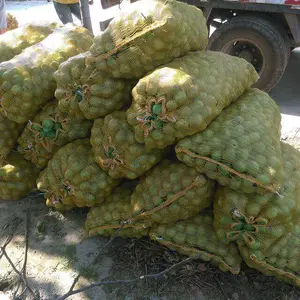 供应陕西大荔早熟青皮核桃种植基地行情品种销售产地价格