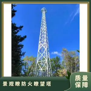 广东监控塔森林设有监测平台实力厂家远程监测塔